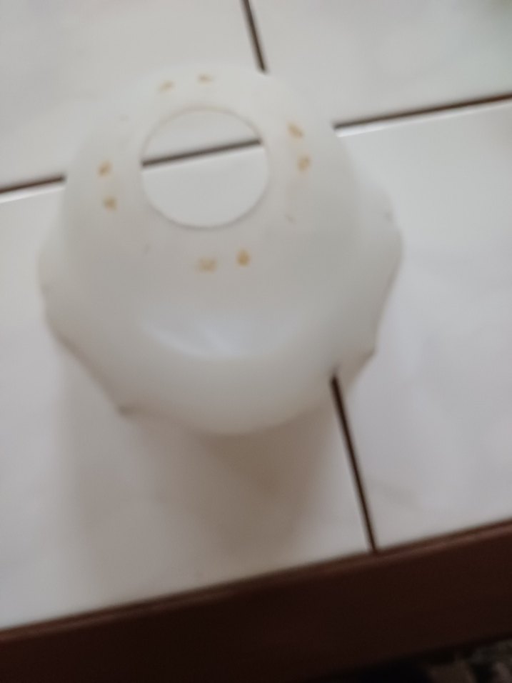 Beyaz Dalgalı Kenarlı tek lamba aparatı - Görsel 3