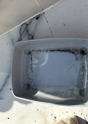 Siyah Taşıma Kabı ve Tuvaleti - Görsel 4