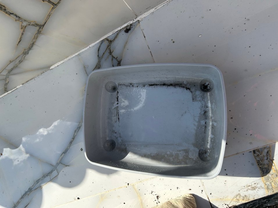 Siyah Taşıma Kabı ve Tuvaleti - Görsel 4