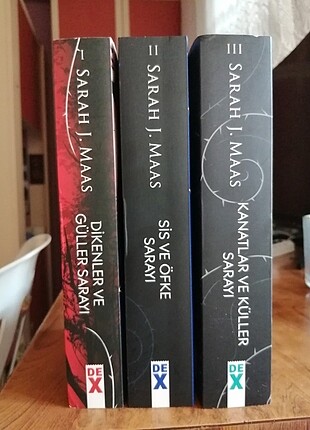 Dikenler Ve Güller Sarayı, Sis Ve Öfke Sarayı, kül ve kanatlar s