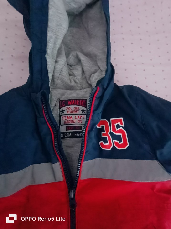 Erkek Çocuk Renkli Kapüşonlu Fermuarlı Mont - Görsel 2