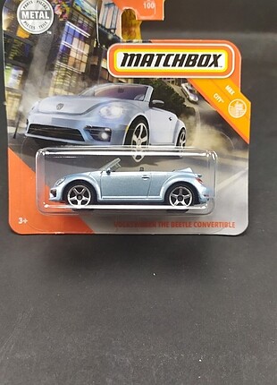 Matchbox beetle 