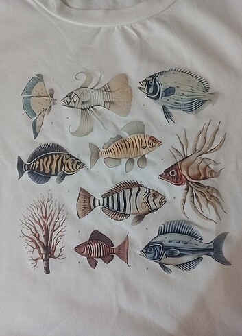 s Beden balık crop tshirt bluz