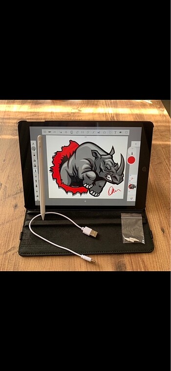 Apple ipad kalemi