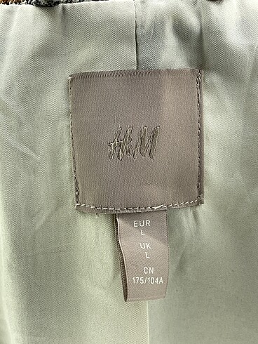 l Beden çeşitli Renk H&M Blazer %70 İndirimli.