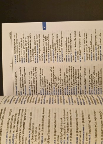 Fono Rusça-Türkçe Standart Sözlük - Görsel 4