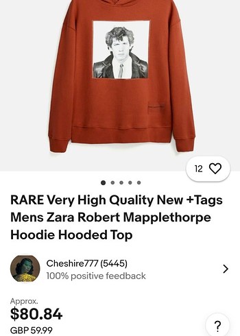 Zara Nadir Koleksiyon Sweatshirt Kapüşonlu - Görsel 7
