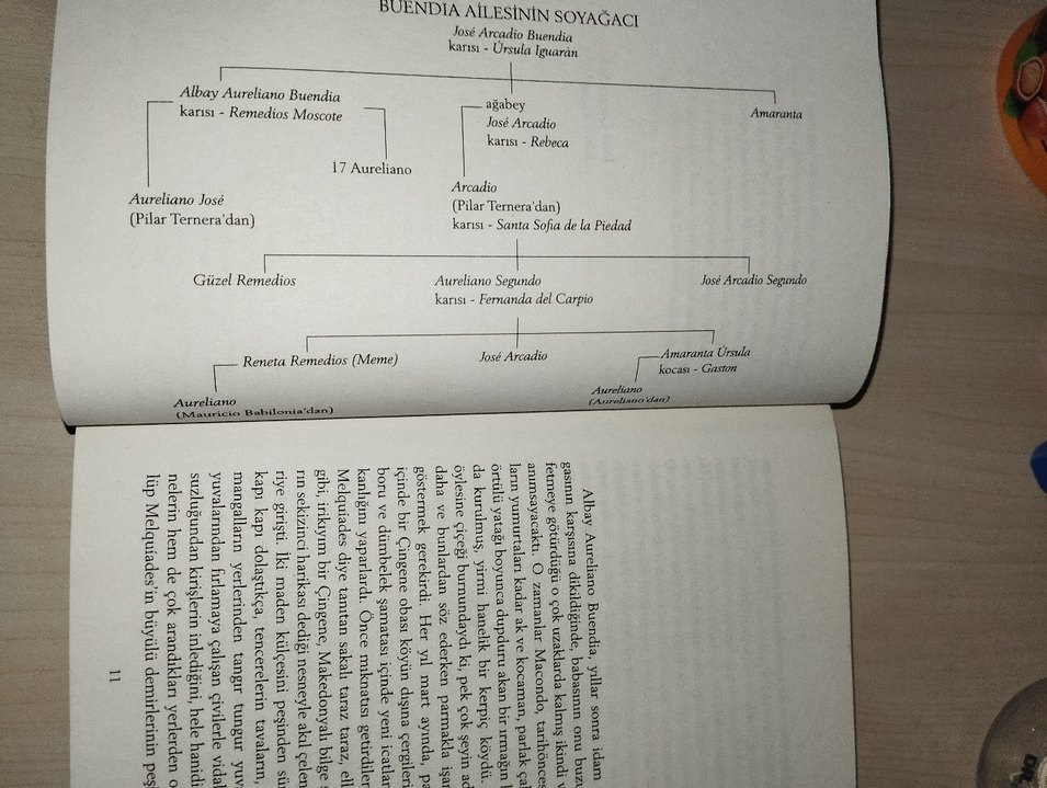 Yüzyıllık Yalnızlık - Gabriel García Márquez - Görsel 5