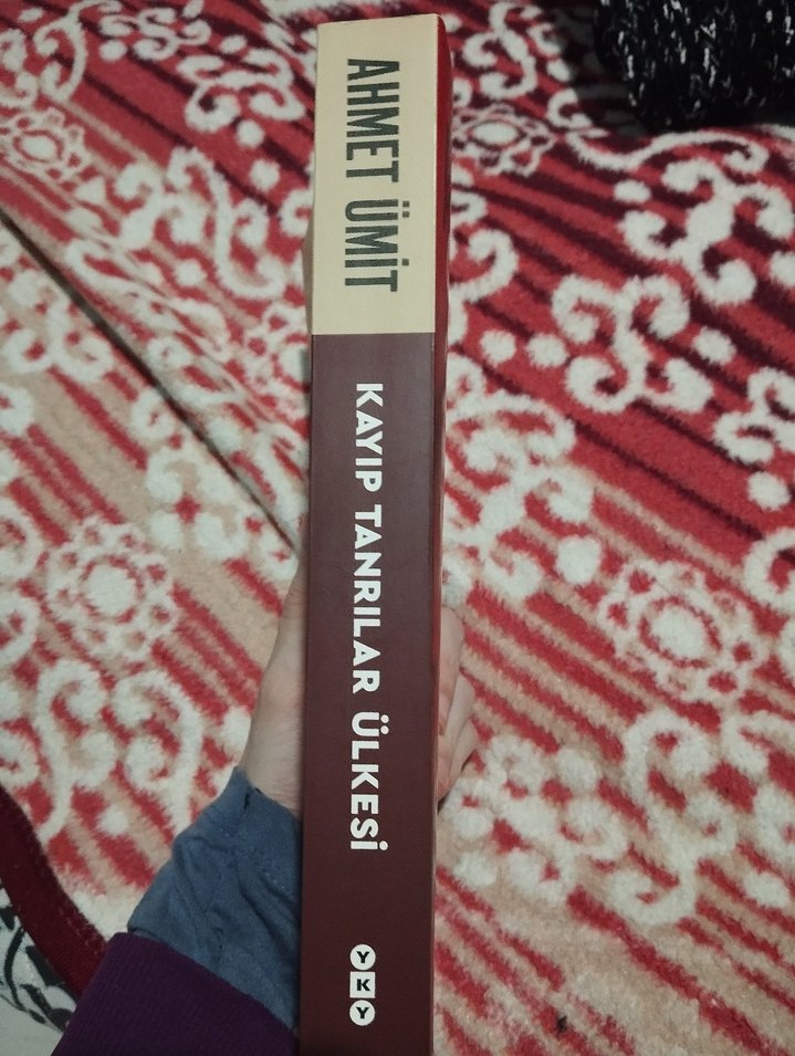 Kayıp Tanrılar Ülkesi - Ahmet Ümit - Görsel 3