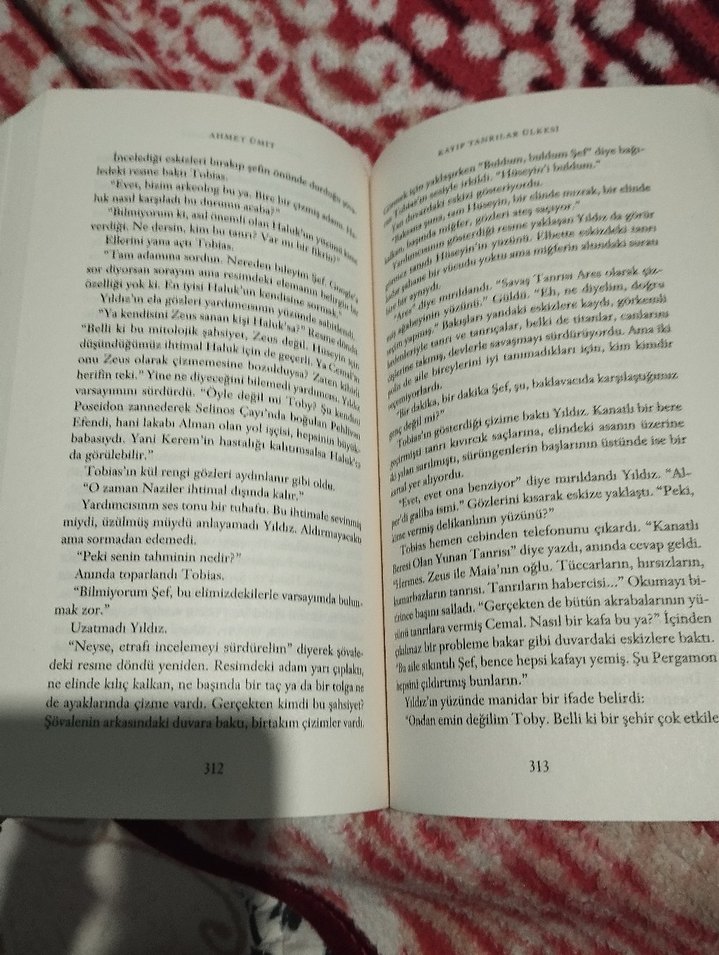 Kayıp Tanrılar Ülkesi - Ahmet Ümit - Görsel 4