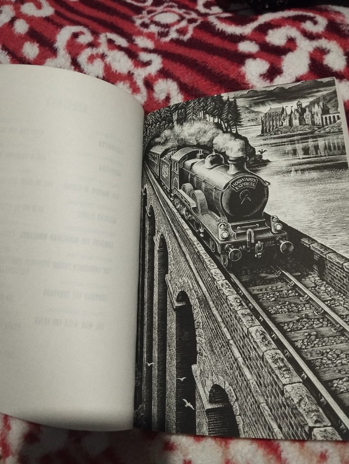 Harry Potter and the Philosopher's Stone- J.K. Rowling - Görsel 4