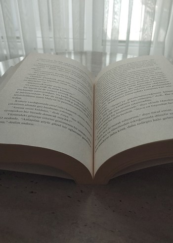 Çöküş ve Yükseliş - Leigh Bardugo - Görsel 3