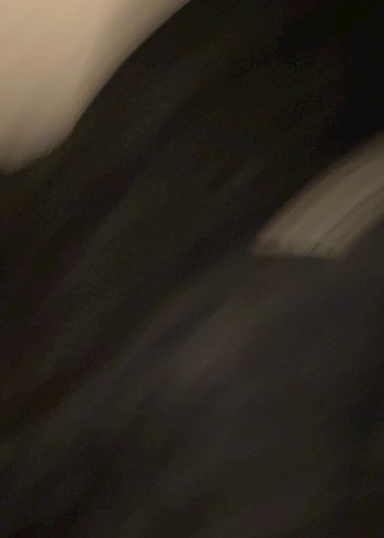 İçi polar dışı kadife kısa mont - Görsel 3