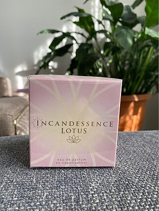 İncandessence Lotus parfüm
