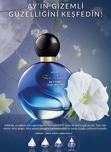 Avon far away beyond the moon