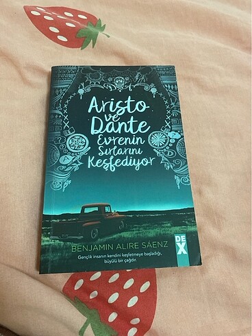 aristo ve dante evrenin sirlarini kesfediyor