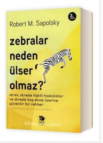 Zebra tere