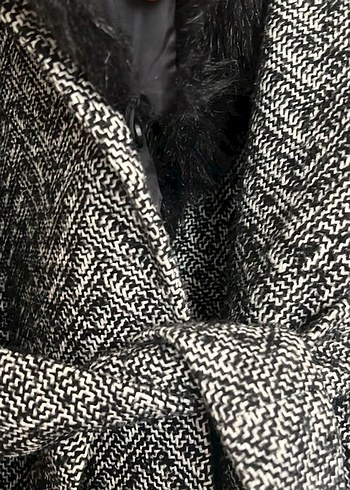 Kürklü kaban - Görsel 3