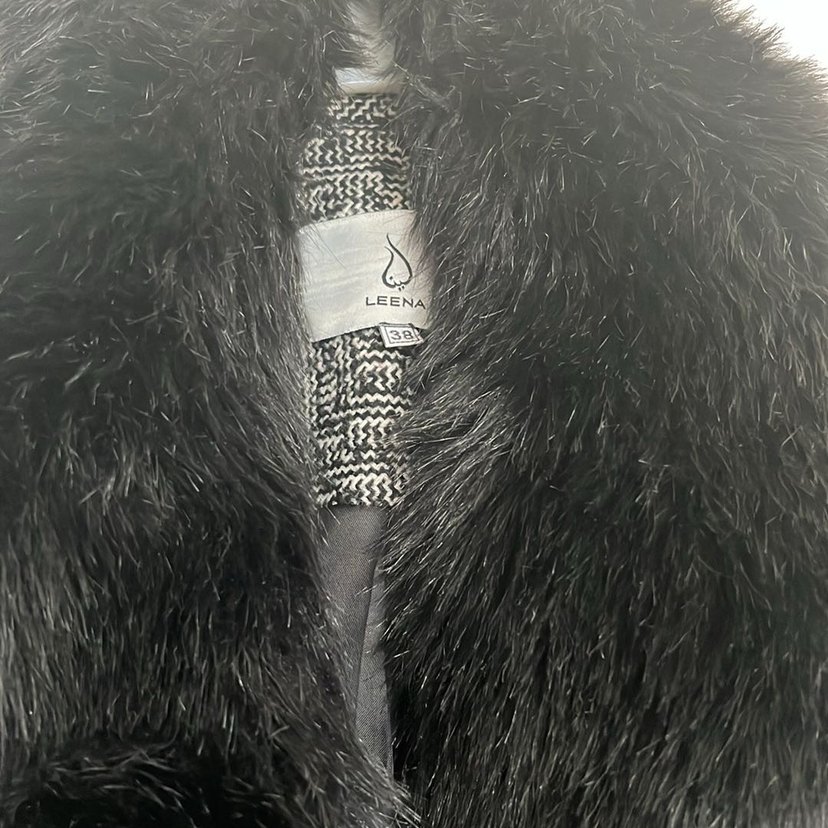 Kürklü kaban - Görsel 2