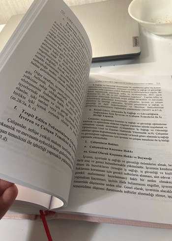  Beden Renk Bireysel İş Hukuku 13. Baskı - Yetkin Yayınları