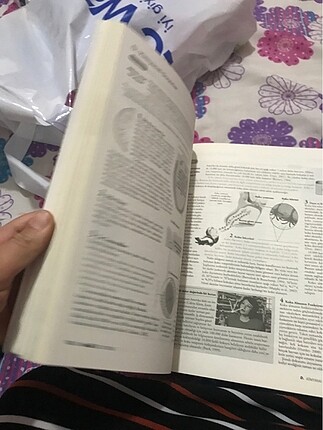  Beden Renk Rod Plotnik psikolojiye giriş
