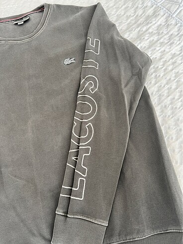 Lacoste Erkek sweat