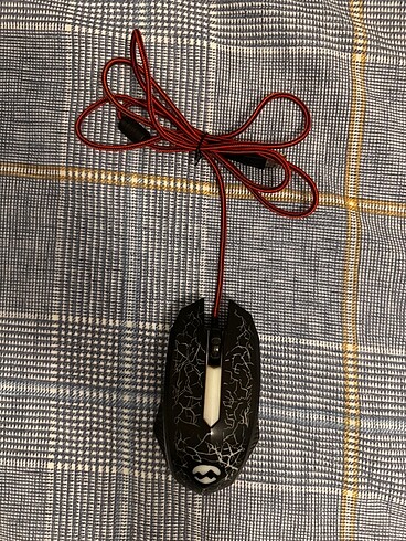 Mouse