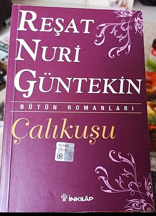 Reşat Nuri Güntekin Çalıkuşu Kitap Roman
