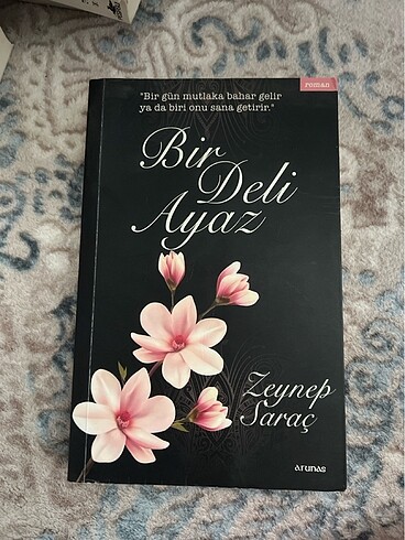 BİR DELİ AYAZ