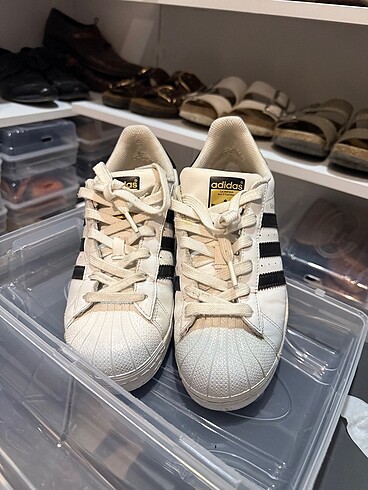 Adidas süper star