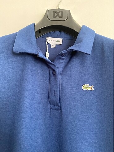 m Beden Lacoste Lacivert Polo Yaka Elbise