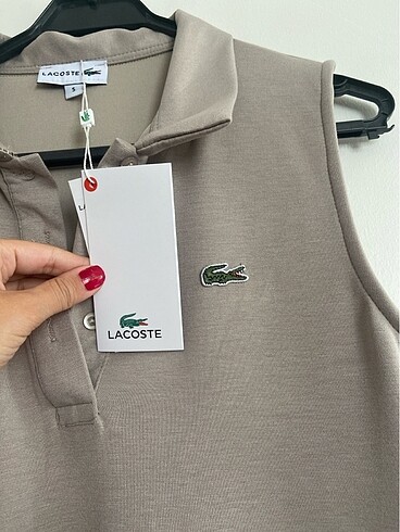 s Beden Lacoste Vizon Polo Yaka Elbise