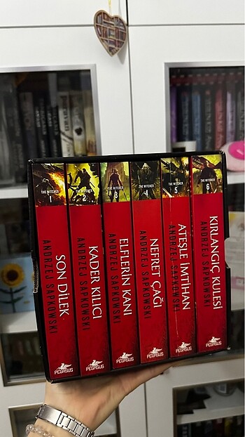 The Witcher Set