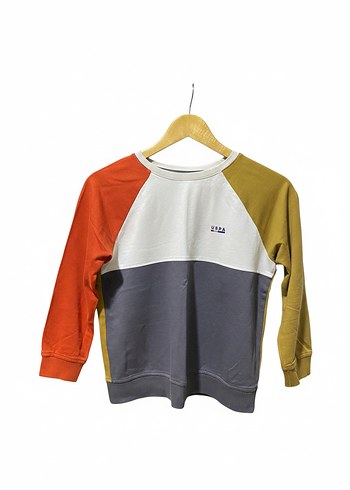 Çok Renkli Erkek Çocuk Sweatshirt - Görsel 2