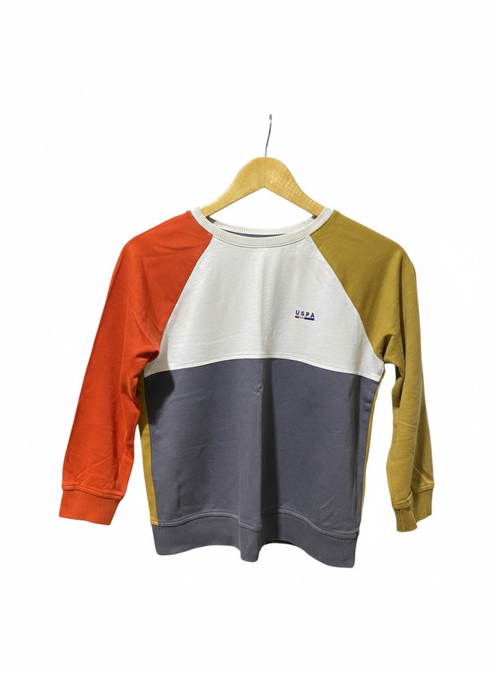 Çok Renkli Erkek Çocuk Sweatshirt - Görsel 2