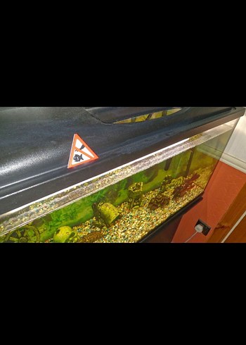 Balıklara Dokunmak Yasaktır Tabelası - Görsel 7