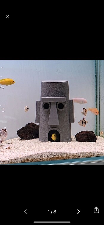 Squidward Evi Akvaryum Dekoru