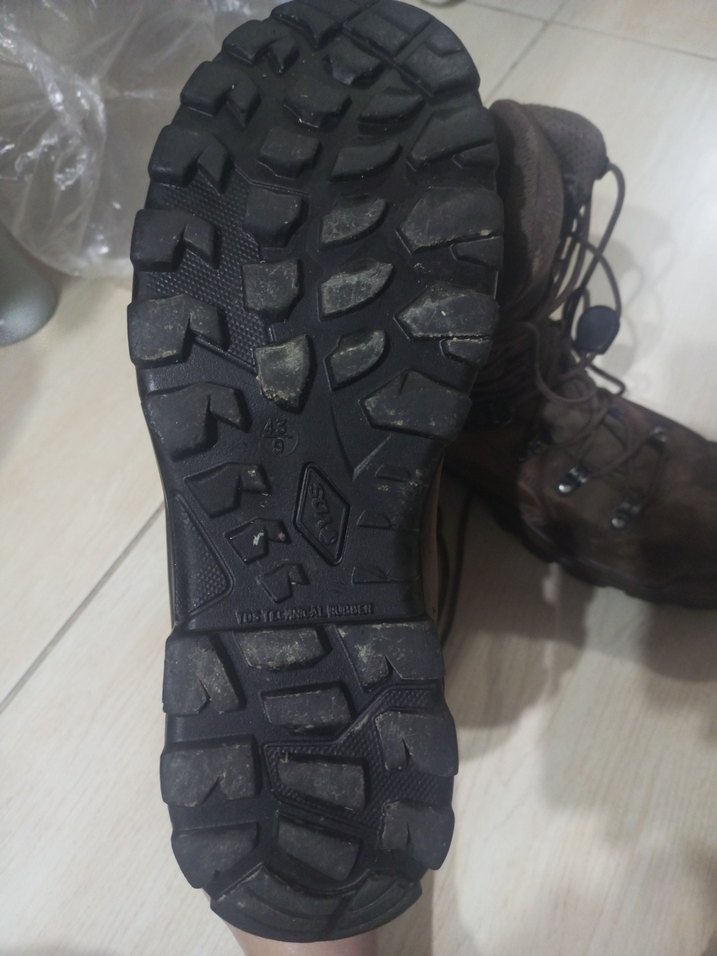 Soğuk iklim kar botu - Görsel 2