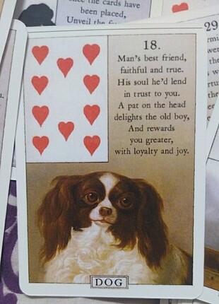 BlueBird Lenormand Destesi İngilizce