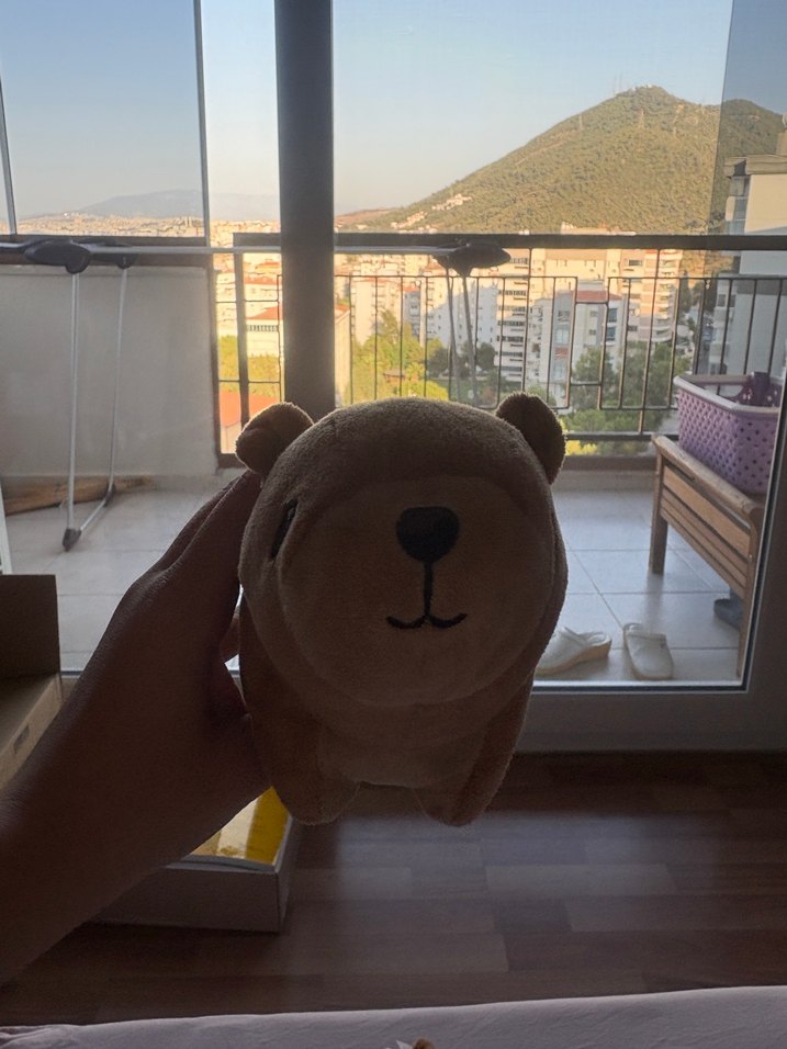 H&M peluş - Görsel 2