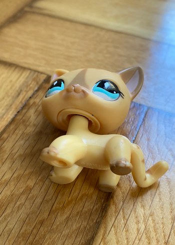  Beden Renk Pastel Sarı miniş Kedi Figürü.