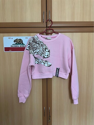 Pembe crop sweatshirt