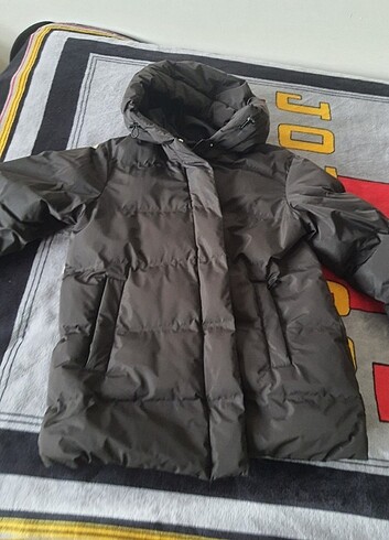 Zara mont