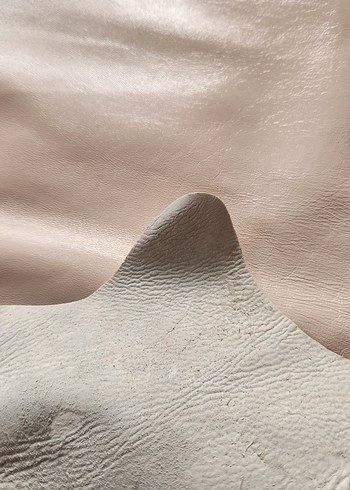 Büyük bir Hakiki Deri Parçası - Görsel 2