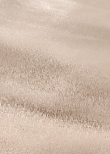 Büyük bir Hakiki Deri Parçası - Görsel 3