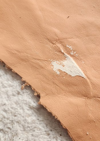 Büyük bir Hakiki Deri Parçası - Görsel 3