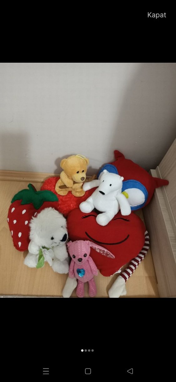 Renkli ve Beyaz Peluş Oyuncak Seti - Görsel 2