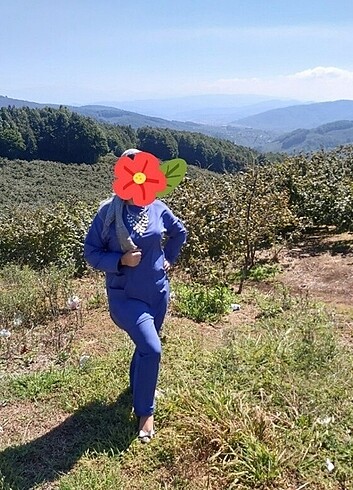 Takım 