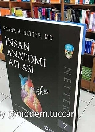 Netter İnsan Anatomisi Atlası 