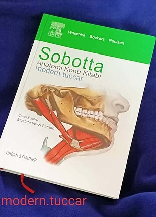 Sobotta Konu